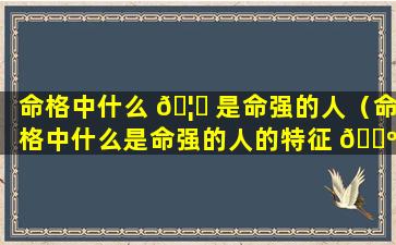 命格中什么 🦈 是命强的人（命格中什么是命强的人的特征 🌺 ）
